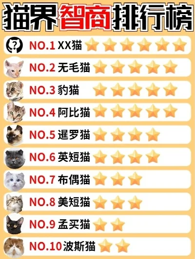 猫猫的智商游戏排行榜-猫咪益智游戏排名