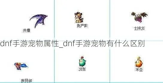 dnf手游喂养宠物-宠物培养指南